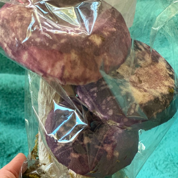 💎Purple Velvet Mushroom Patch - Picture 5 of 5